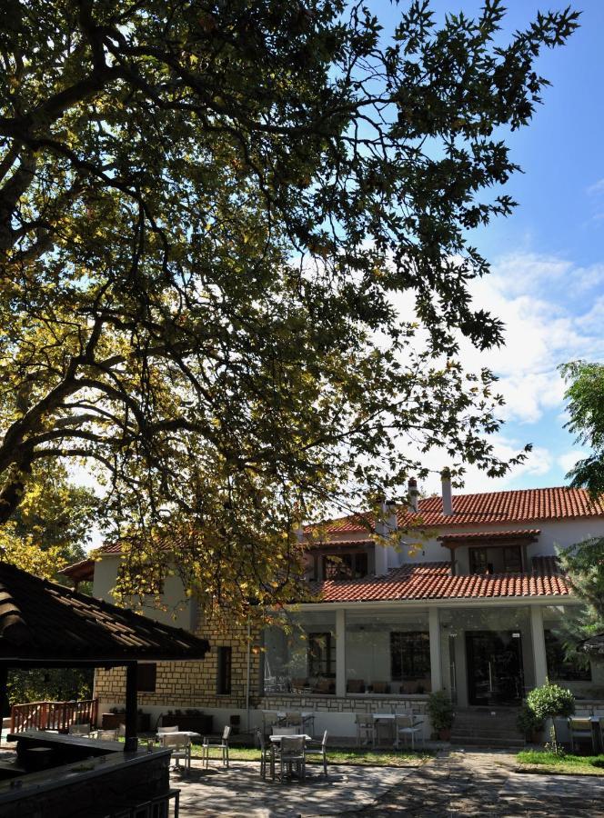 Κonitsa Gefyri Hotel Коница Екстериор снимка